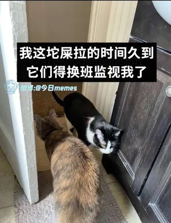 今日沙雕： 出生證丟了怎么證明自己出生了宣傳圖94