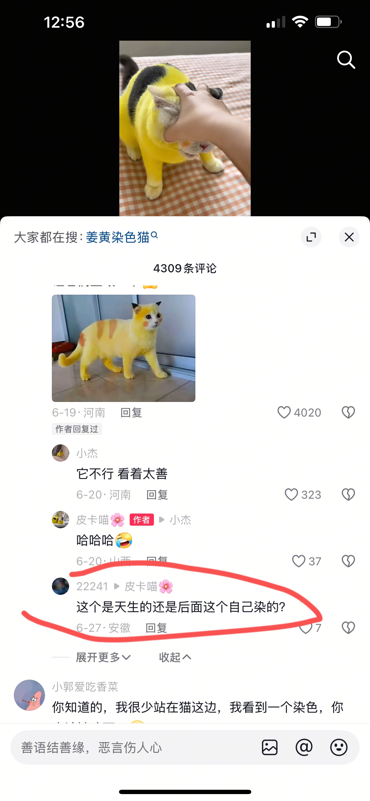 今日沙雕：既然焚燒垃圾站可以發(fā)電，為什么不用火葬場(chǎng)來發(fā)電呢？宣傳圖1