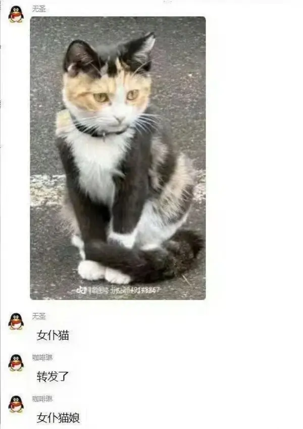今日沙雕：既然焚燒垃圾站可以發(fā)電，為什么不用火葬場(chǎng)來發(fā)電呢？宣傳圖48