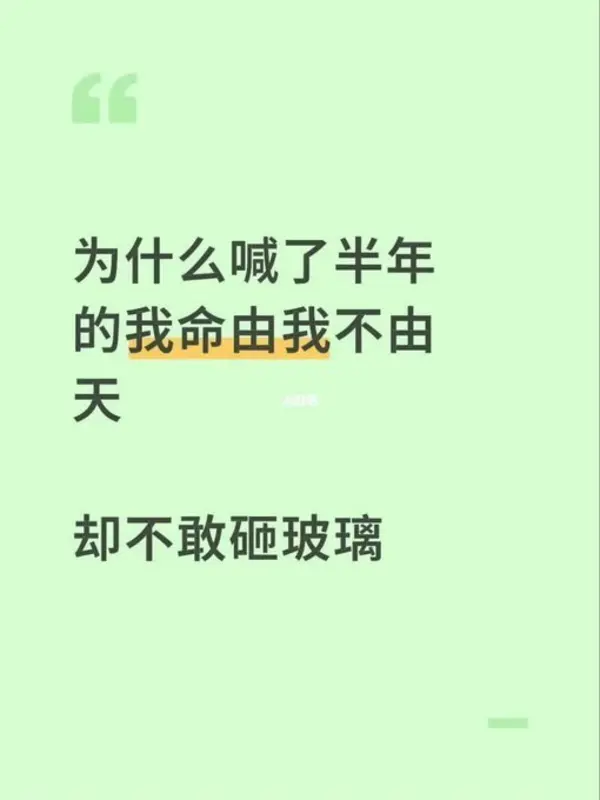 今日沙雕：既然焚燒垃圾站可以發(fā)電，為什么不用火葬場(chǎng)來發(fā)電呢？宣傳圖53
