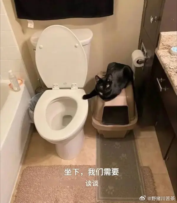 今日沙雕：既然焚燒垃圾站可以發(fā)電，為什么不用火葬場(chǎng)來發(fā)電呢？宣傳圖92