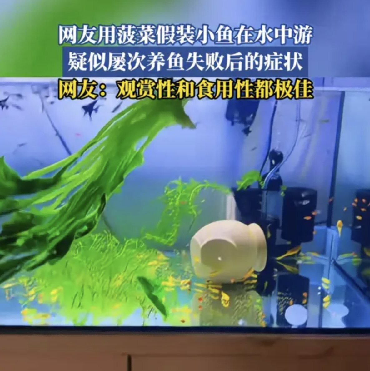 今日沙雕：既然焚燒垃圾站可以發(fā)電，為什么不用火葬場(chǎng)來發(fā)電呢？宣傳圖93