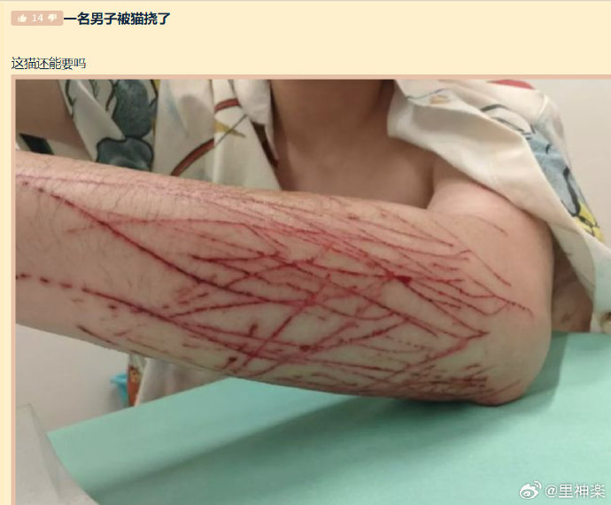 今日沙雕：強勢老婆要求兒子性別隨她我該怎么辦宣傳圖33