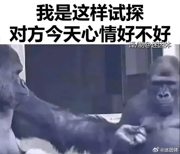 今日沙雕：強勢老婆要求兒子性別隨她我該怎么辦宣傳圖159