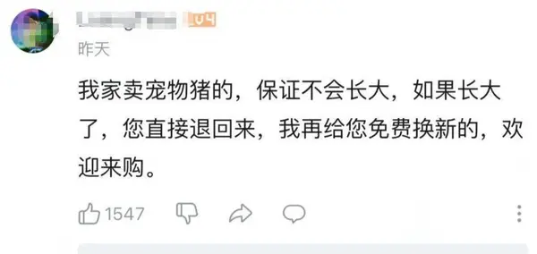 今日沙雕：強勢老婆要求兒子性別隨她我該怎么辦宣傳圖190