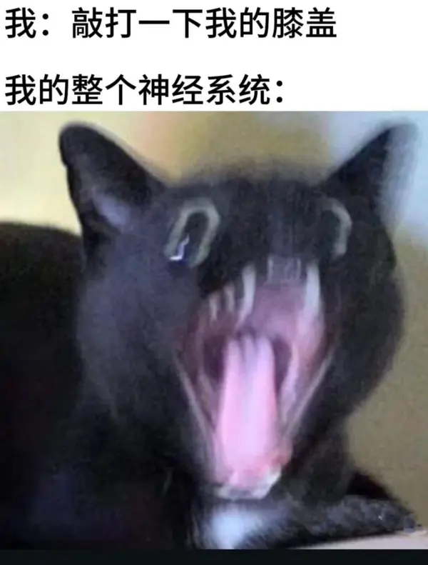 今日沙雕：強勢老婆要求兒子性別隨她我該怎么辦宣傳圖227