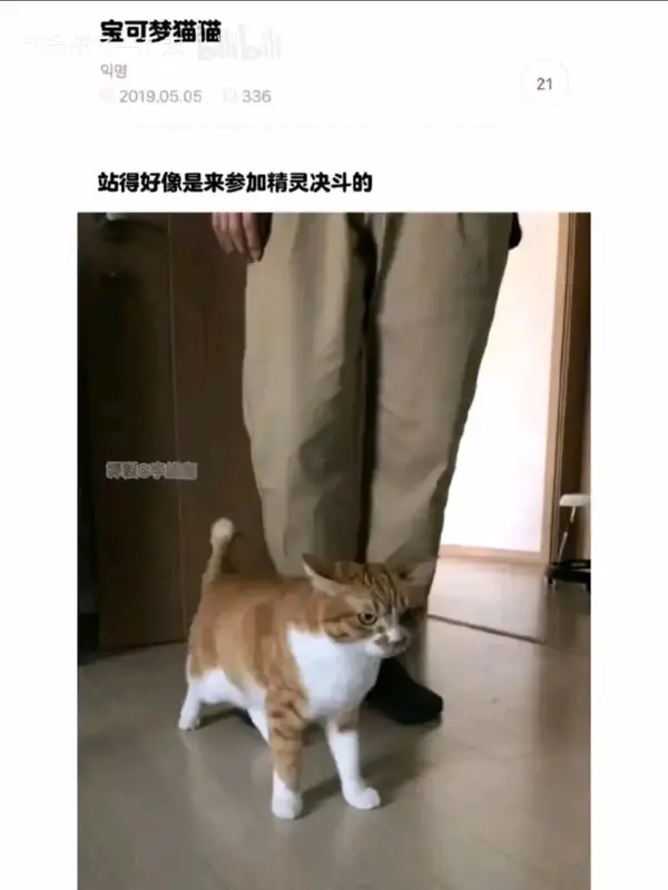 今日沙雕：強勢老婆要求兒子性別隨她我該怎么辦宣傳圖243