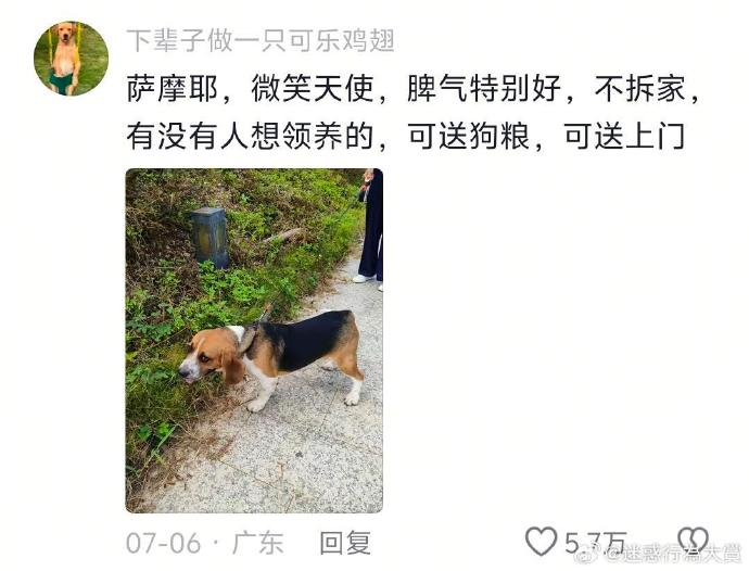 今日沙雕：食人族辦美食節(jié)為什么沒人參加宣傳圖26