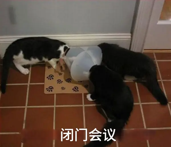 今日沙雕：食人族辦美食節(jié)為什么沒人參加宣傳圖56