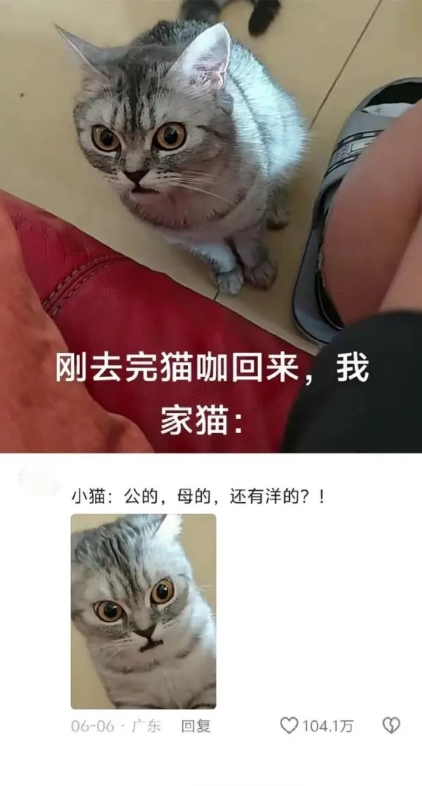 今日沙雕：食人族辦美食節(jié)為什么沒人參加宣傳圖84