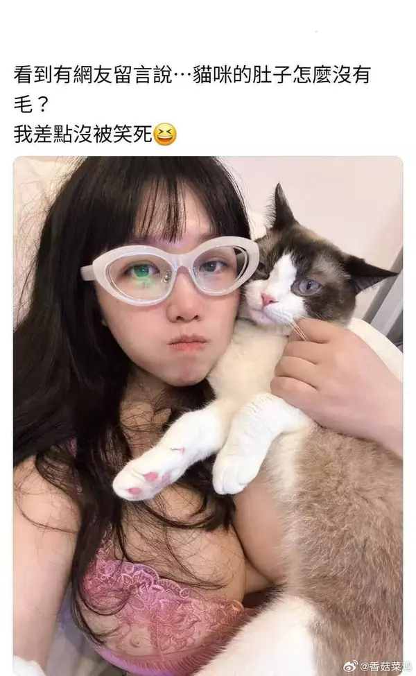 今日沙雕：曹丕放的貸款是不是可以叫大魏貸宣傳圖19