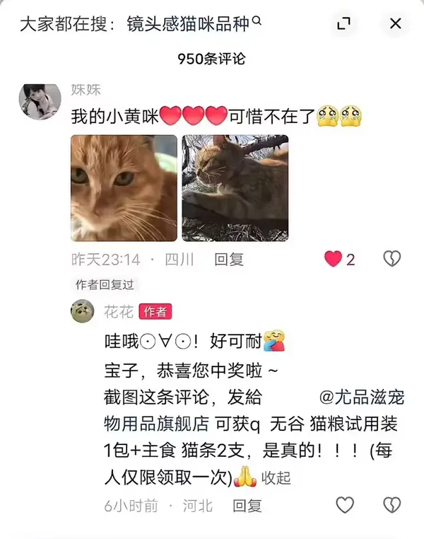 今日沙雕：曹丕放的貸款是不是可以叫大魏貸宣傳圖34