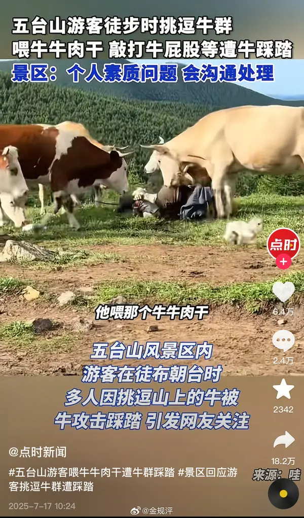 今日沙雕：世界上造假的人那么多，為什么我們的假還是很少？宣傳圖4