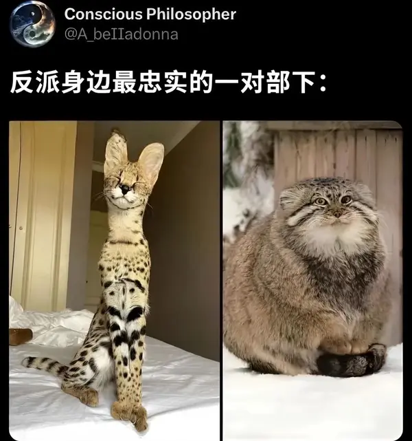 今日沙雕：世界上造假的人那么多，為什么我們的假還是很少？宣傳圖23