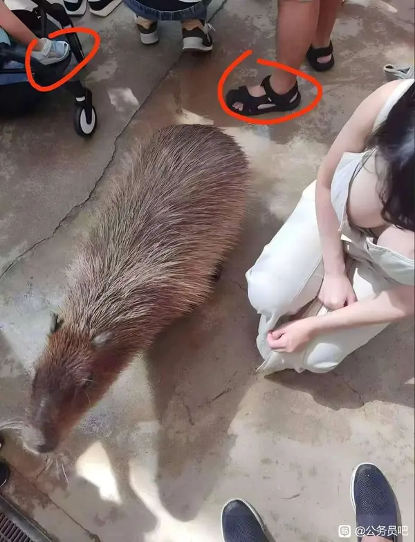 今日沙雕：世界上造假的人那么多，為什么我們的假還是很少？宣傳圖48