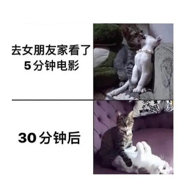 今日沙雕：世界上造假的人那么多，為什么我們的假還是很少？宣傳圖53