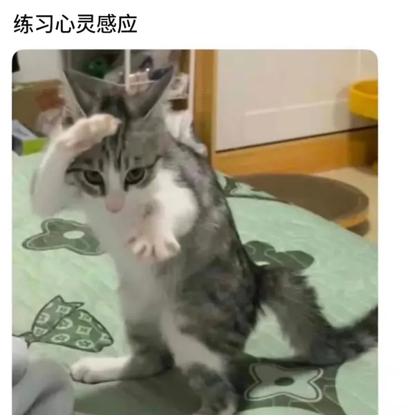 今日沙雕：世界上造假的人那么多，為什么我們的假還是很少？宣傳圖68