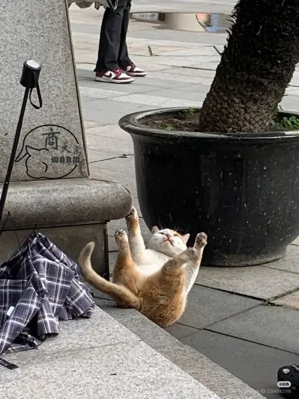 今日沙雕：世界上造假的人那么多，為什么我們的假還是很少？宣傳圖70