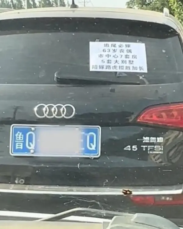 今日沙雕： 水能導電，為什么不直接用長江輸電宣傳圖102