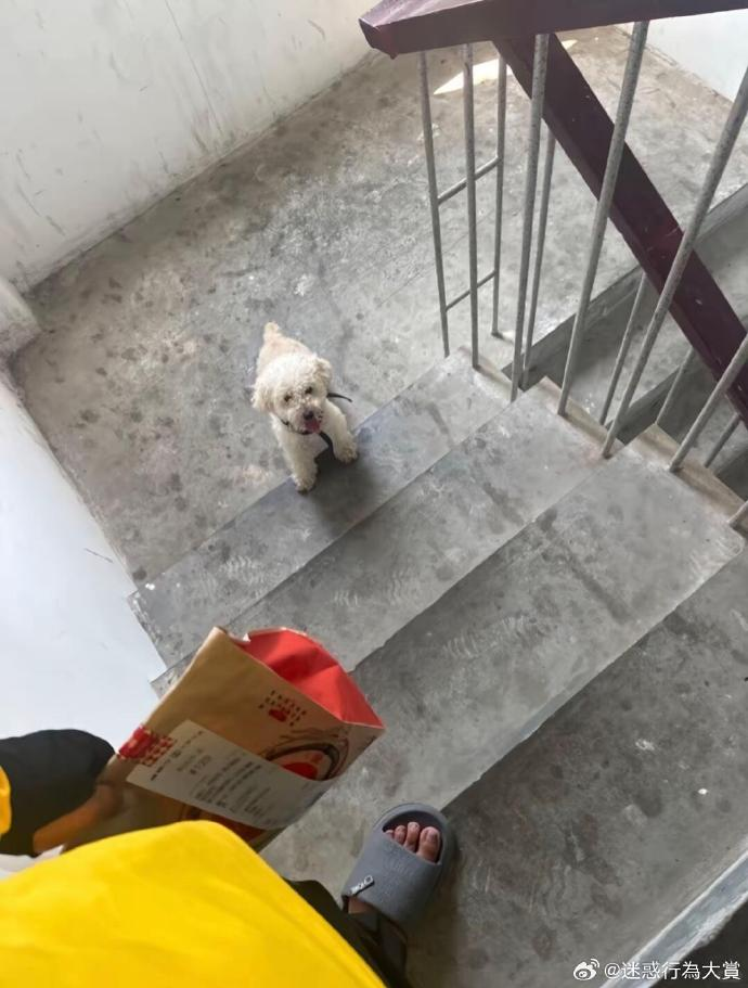 今日沙雕： 水能導電，為什么不直接用長江輸電宣傳圖122