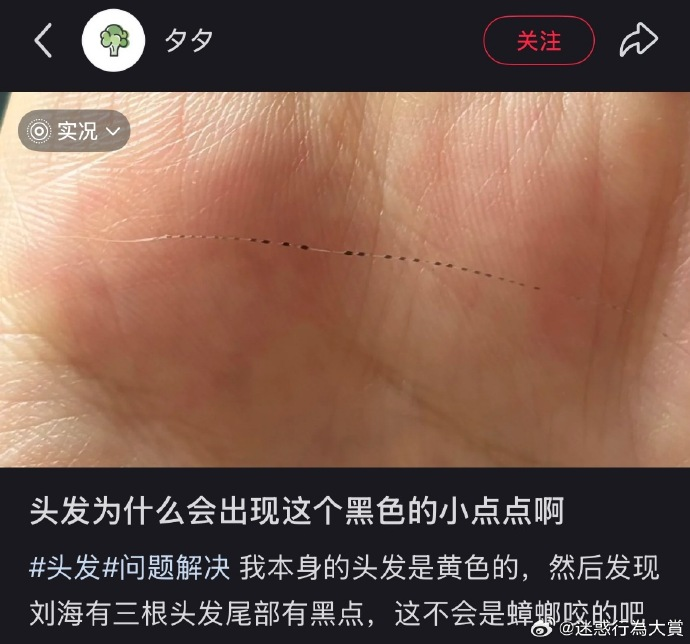 今日沙雕： 水能導電，為什么不直接用長江輸電宣傳圖123