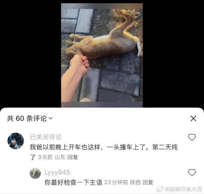 今日沙雕： 森林召開動物大會為什么冰箱沒來宣傳圖54