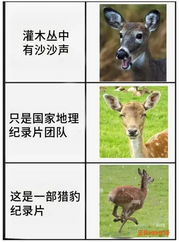 今日沙雕： 森林召開動物大會為什么冰箱沒來宣傳圖106