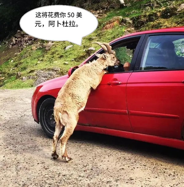 今日沙雕： 森林召開動物大會為什么冰箱沒來宣傳圖107