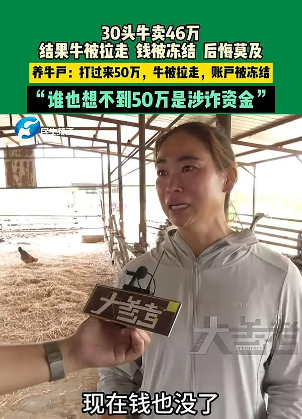 今日沙雕： 森林召開動物大會為什么冰箱沒來宣傳圖109