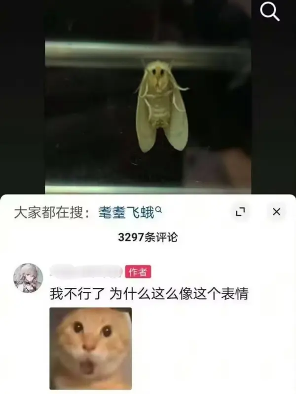 今日沙雕： 森林召開動物大會為什么冰箱沒來宣傳圖141