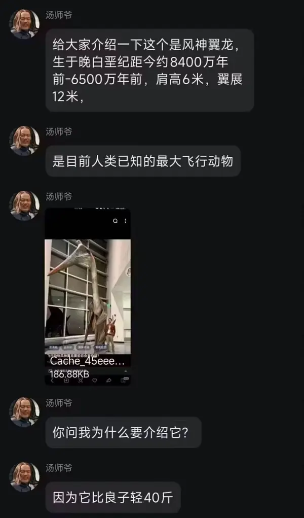 今日沙雕： 森林召開動物大會為什么冰箱沒來宣傳圖145