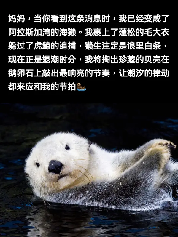 今日沙雕：“這個家伙有點東西?！蓖赓u員看著新的訂單說道宣傳圖38