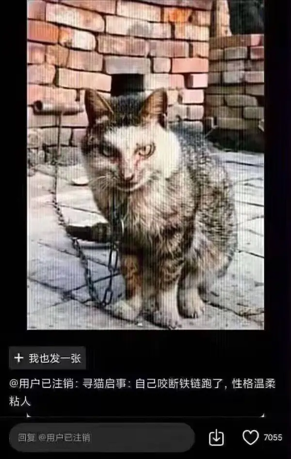 今日沙雕：“這個家伙有點東西?！蓖赓u員看著新的訂單說道宣傳圖61