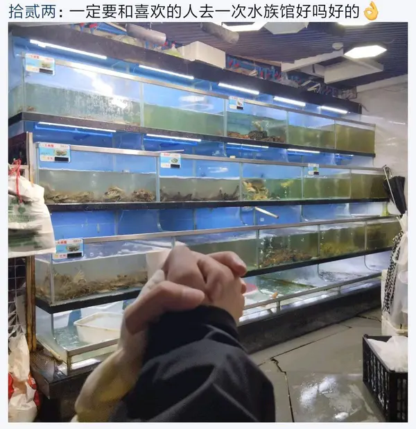 今日沙雕：“這個家伙有點東西?！蓖赓u員看著新的訂單說道宣傳圖65