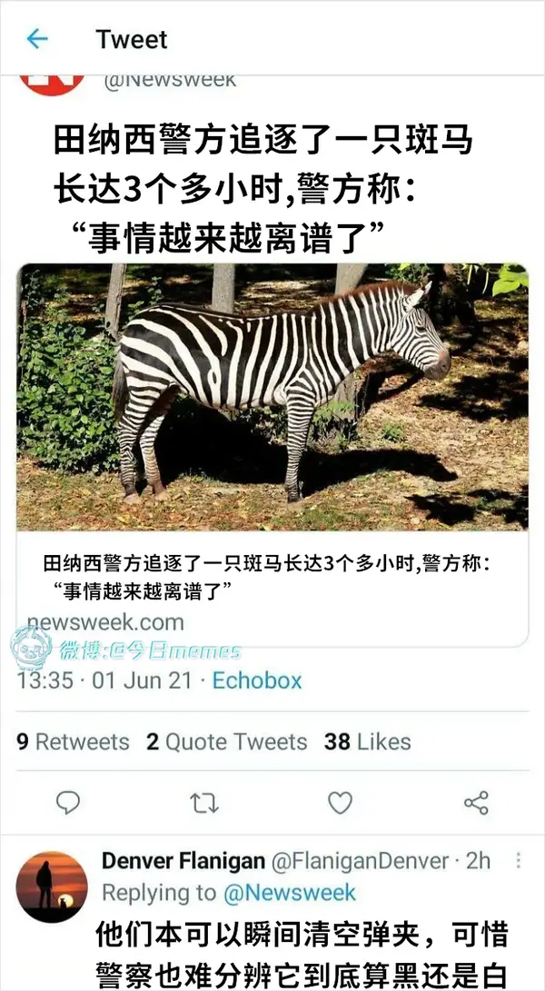 今日沙雕：“這個家伙有點東西。”外賣員看著新的訂單說道宣傳圖107