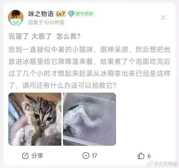 今日沙雕：大多數(shù)雪糕總是把自己美顏過(guò)的裸照穿在外面宣傳圖19