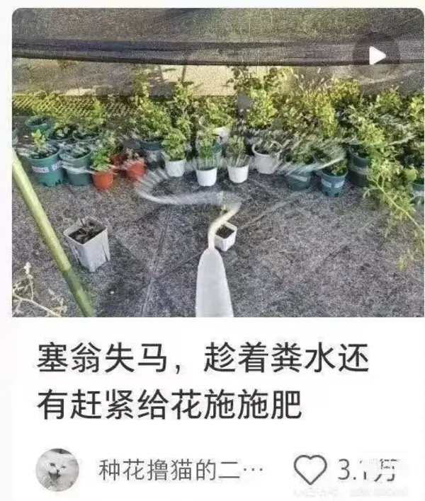 今日沙雕：大多數(shù)雪糕總是把自己美顏過(guò)的裸照穿在外面宣傳圖47