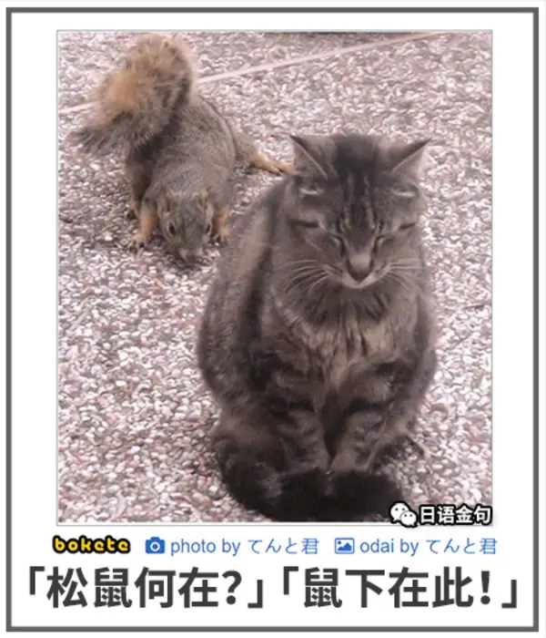 今日沙雕：大多數(shù)雪糕總是把自己美顏過(guò)的裸照穿在外面宣傳圖52