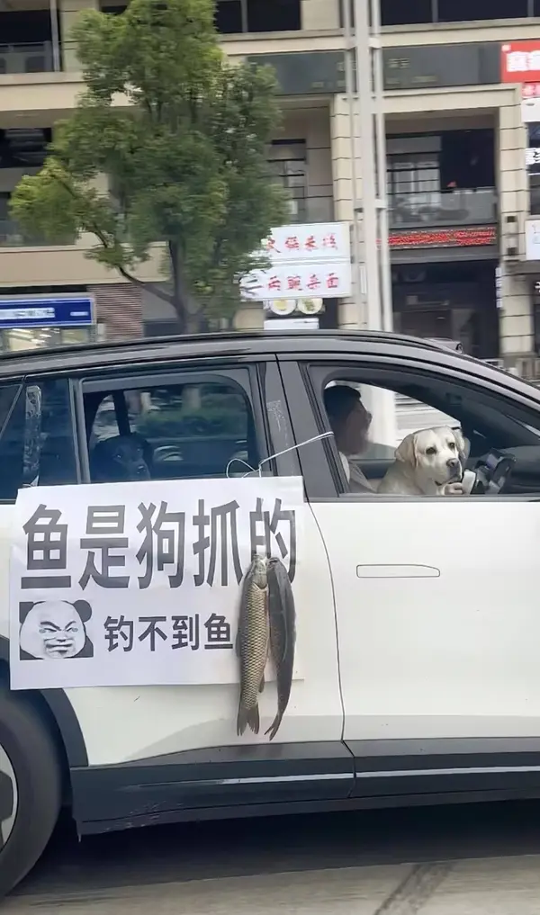 今日沙雕： 都說秦國法律嚴(yán)苛，項(xiàng)羽這么大的縱火罪也沒人管啊宣傳圖7