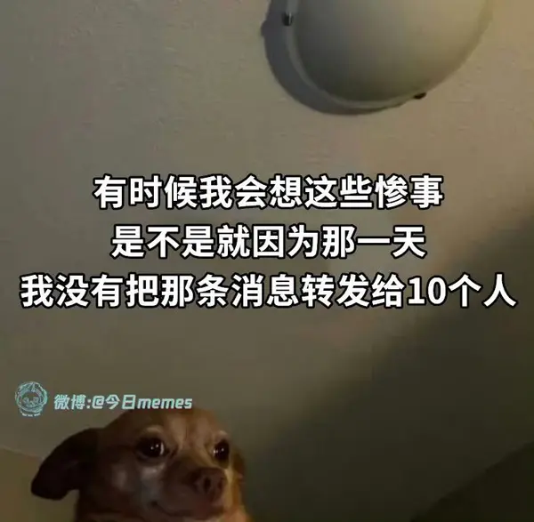 今日沙雕： 都說秦國法律嚴(yán)苛，項(xiàng)羽這么大的縱火罪也沒人管啊宣傳圖61