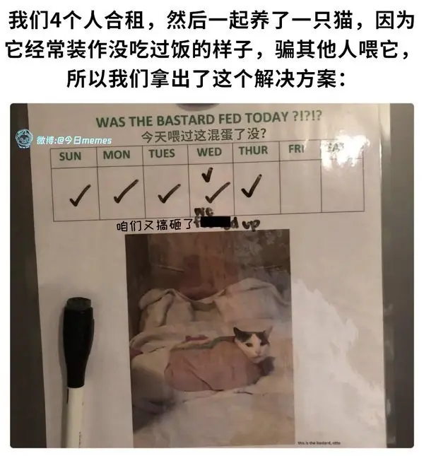 今日沙雕： 都說秦國法律嚴(yán)苛，項(xiàng)羽這么大的縱火罪也沒人管啊宣傳圖64