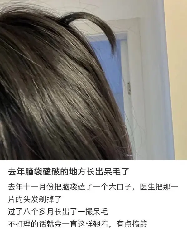 今日沙雕： 都說秦國法律嚴(yán)苛，項(xiàng)羽這么大的縱火罪也沒人管啊宣傳圖67