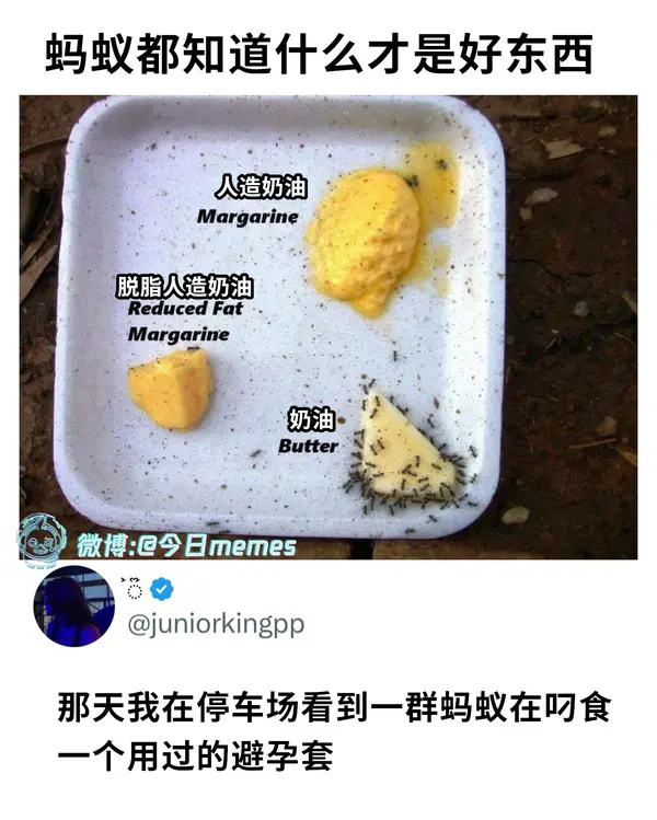 今日沙雕： 都說秦國法律嚴(yán)苛，項(xiàng)羽這么大的縱火罪也沒人管啊宣傳圖87