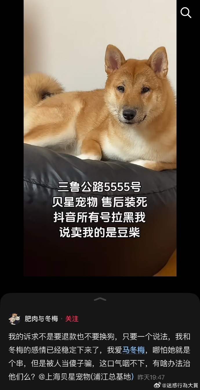 今日沙雕： 原神太簡單了，只要輸入爸爸的生日就能無限抽卡宣傳圖66