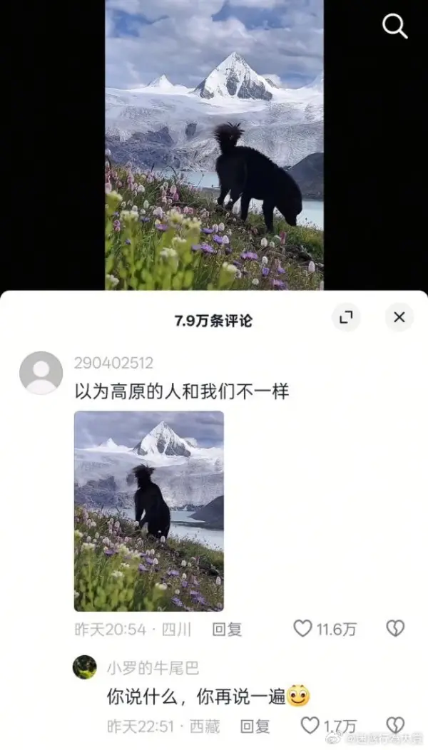 今日沙雕： 原神太簡單了，只要輸入爸爸的生日就能無限抽卡宣傳圖71