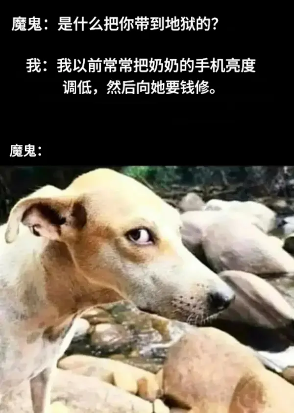 今日沙雕： 原神太簡單了，只要輸入爸爸的生日就能無限抽卡宣傳圖89