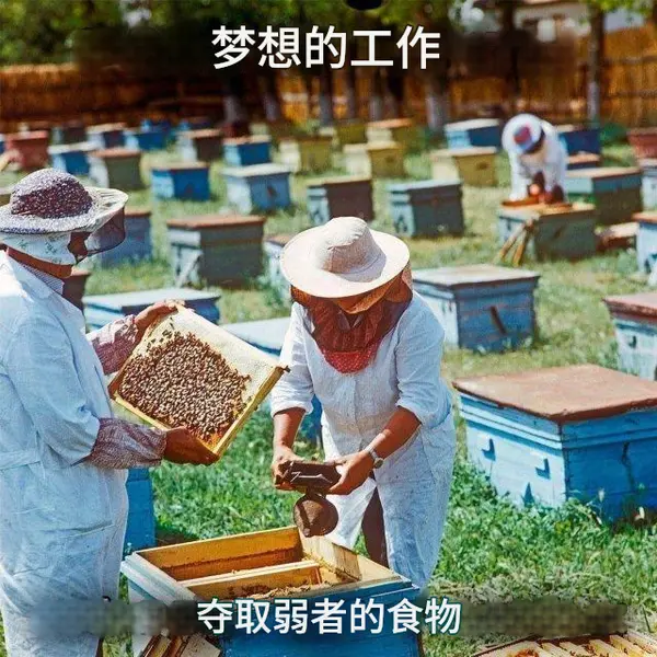 今日沙雕： 原神太簡單了，只要輸入爸爸的生日就能無限抽卡宣傳圖148