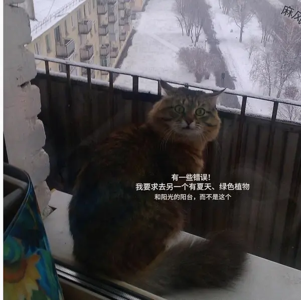 今日沙雕： 原神太簡單了，只要輸入爸爸的生日就能無限抽卡宣傳圖212