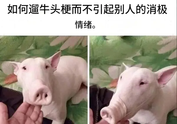 今日沙雕： 小明和小紅互相用練習冊互毆，被稱作是教科書級別的戰(zhàn)斗宣傳圖97