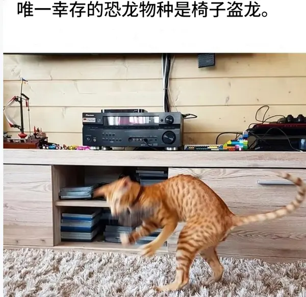 今日沙雕： 小明和小紅互相用練習冊互毆，被稱作是教科書級別的戰(zhàn)斗宣傳圖96